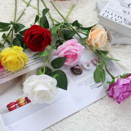 одиночная роза фиолетовая