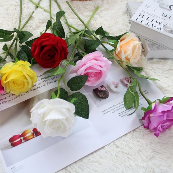 одиночная роза розовая