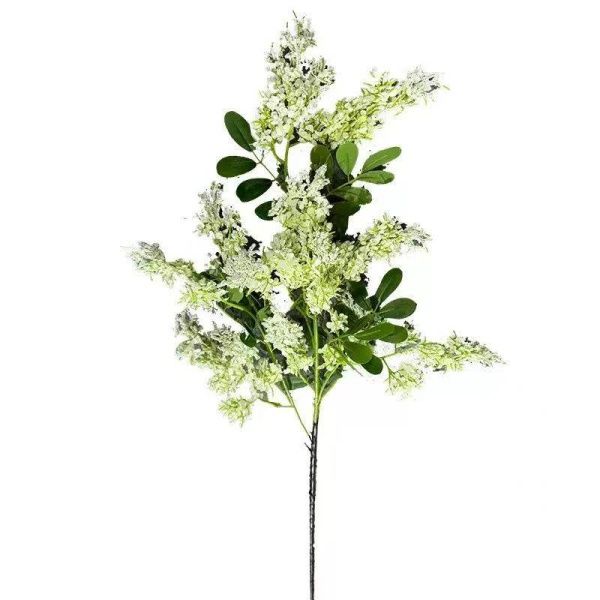 сирень премиум  белая