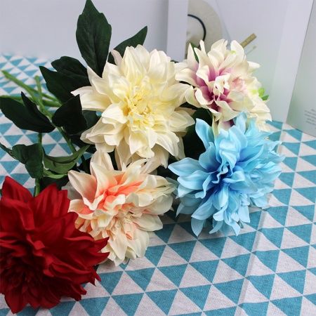 георгин голубой