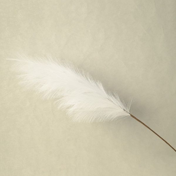 Пампасная трава опт 10 штук белая