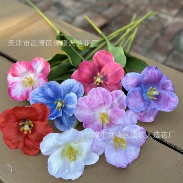 премиум открытый тюльпан 5 штук светло-зеленый