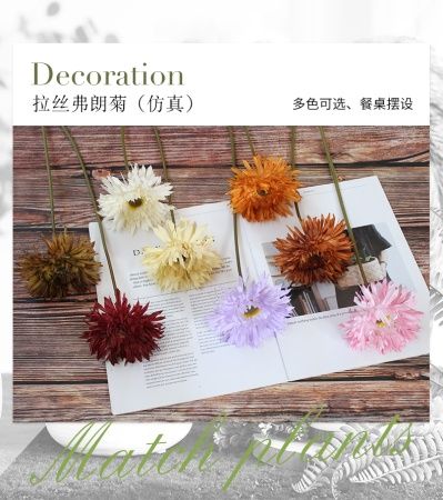 гербера одиночная бордовый