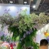 сирень премиум  светло-фиолетовая