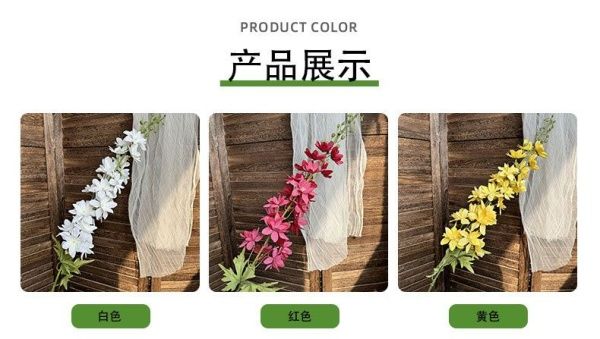 дельфиниум 5 штук шампань