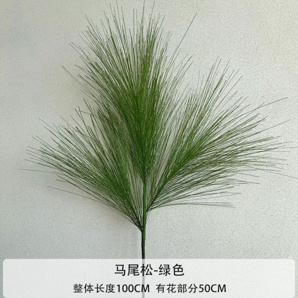 две ветки сосны гигант зеленая