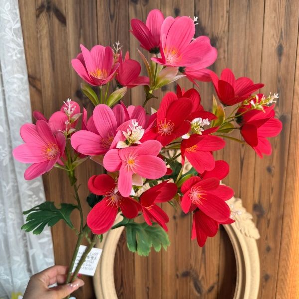 крокус 10 штук красный