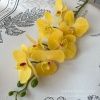 орхидея прорезиненная желтый