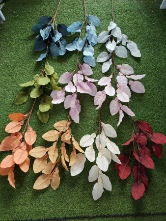 Ветка хосты бежевая