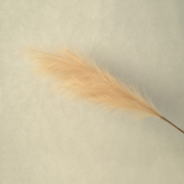 Пампасная трава опт 10 штук натуральный коричневый