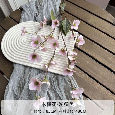 мелкоцвет светло-розовый