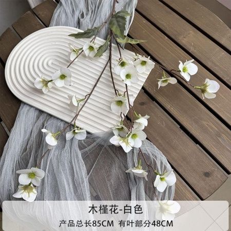 мелкоцвет белый