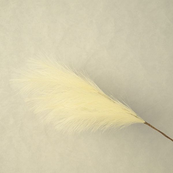 Пампасная трава опт 10 штук кремово-белый