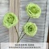 пузырьковая роза салатовая