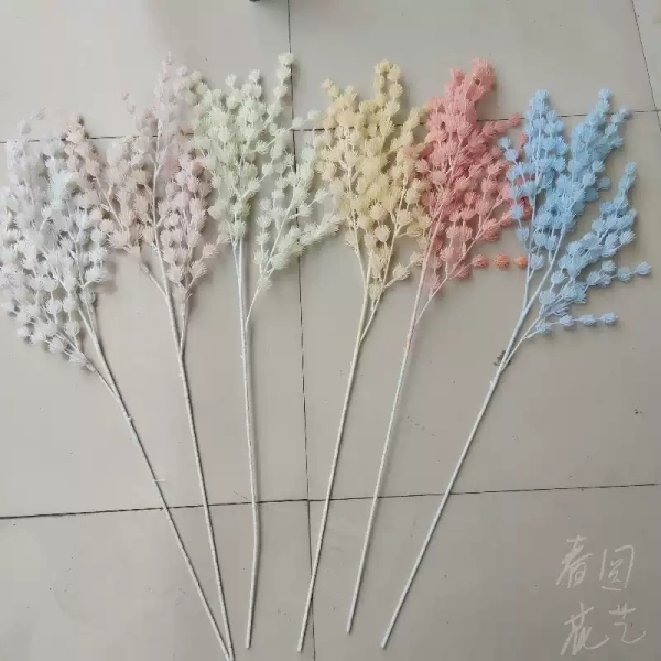 ветка колючка белая