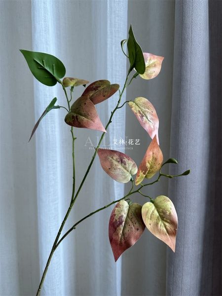 премиум листья осенние зеленый