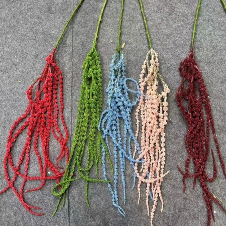 амарант пластик белый