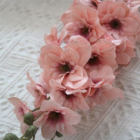 дельфиниум одинарный молочный