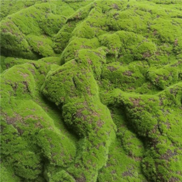 коврик мох камни стиль 2 зеленый