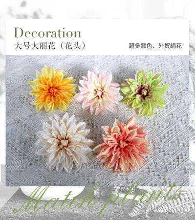 пачка 20 штук георгин 17 см  персиково-оранжевые