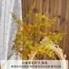 зелень полыни 2 шт зелено-оранжевая