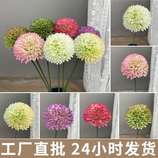 лук сотовый фиолетовый