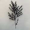 ветка колючка черная