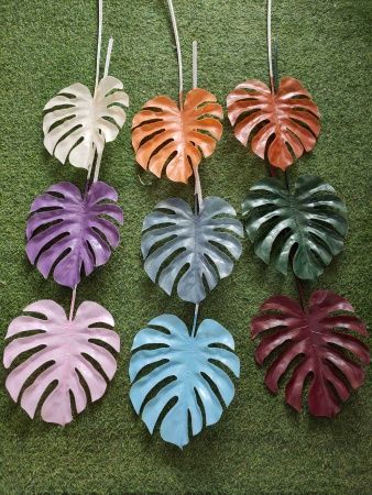 лист монстеры зеленый