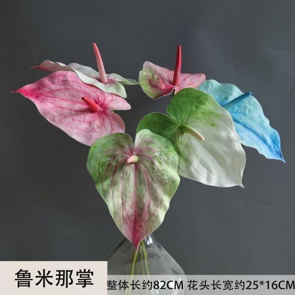 пальмовый антуриум бело-зеленый