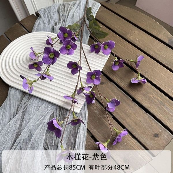 мелкоцвет фиолетовый