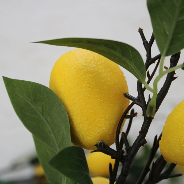 ветка лимона опт 10 штук